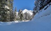 17 Saliamo ai Piani dell'Avaro seguendo fedelmente la strada innevata...